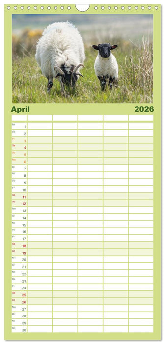 Südengland... zu Fuß (CALVENDO Familienplaner 2026)