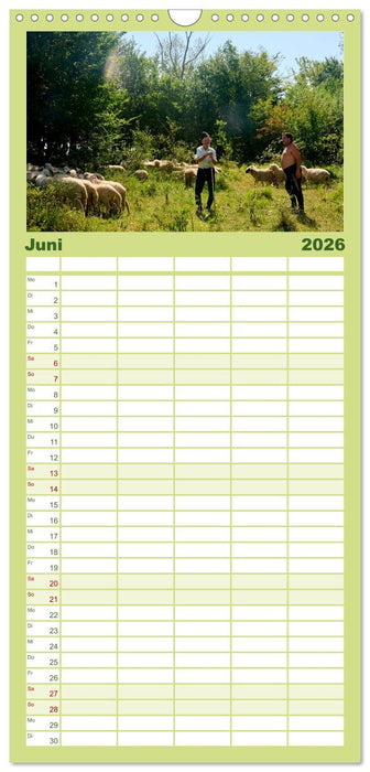 Streifzüge durch die Walachei (CALVENDO Familienplaner 2026)