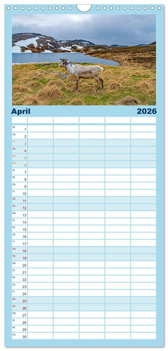Norwegen - ein traumhaftes Reiseziel (CALVENDO Familienplaner 2026)