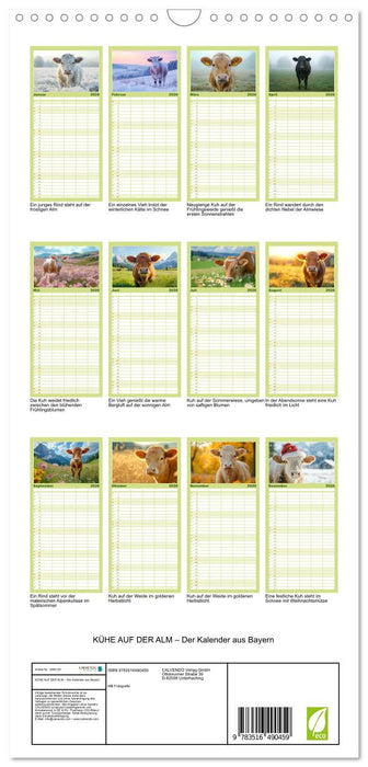 KÜHE AUF DER ALM – Der Kalender aus Bayern (CALVENDO Familienplaner 2026)
