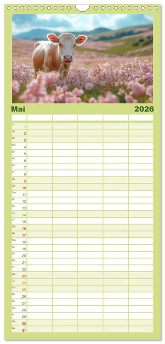 KÜHE AUF DER ALM – Der Kalender aus Bayern (CALVENDO Familienplaner 2026)