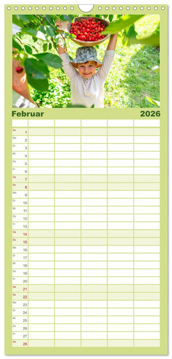 Kirschen aus dem Garten – Erntekalender (CALVENDO Familienplaner 2026)