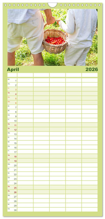 Kirschen aus dem Garten – Erntekalender (CALVENDO Familienplaner 2026)