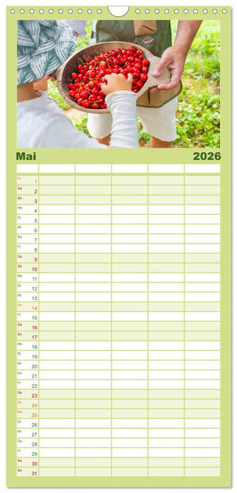 Kirschen aus dem Garten – Erntekalender (CALVENDO Familienplaner 2026)