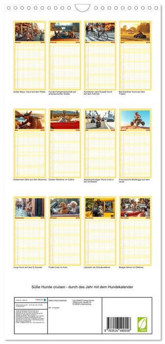Süße Hunde cruisen - durch das Jahr mit dem Hundekalender (CALVENDO Familienplaner 2026)