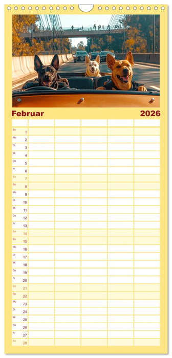 Süße Hunde cruisen - durch das Jahr mit dem Hundekalender (CALVENDO Familienplaner 2026)