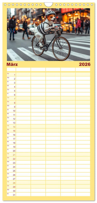Süße Hunde cruisen - durch das Jahr mit dem Hundekalender (CALVENDO Familienplaner 2026)