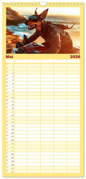Süße Hunde cruisen - durch das Jahr mit dem Hundekalender (CALVENDO Familienplaner 2026)