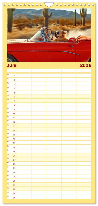 Süße Hunde cruisen - durch das Jahr mit dem Hundekalender (CALVENDO Familienplaner 2026)