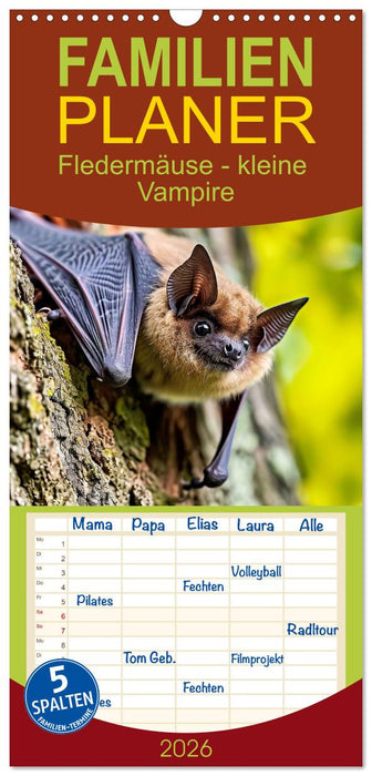 Fledermäuse - kleine Vampire (CALVENDO Familienplaner 2026)