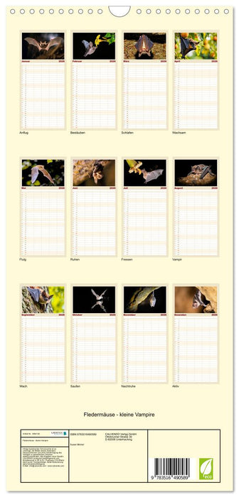 Fledermäuse - kleine Vampire (CALVENDO Familienplaner 2026)