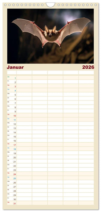 Fledermäuse - kleine Vampire (CALVENDO Familienplaner 2026)