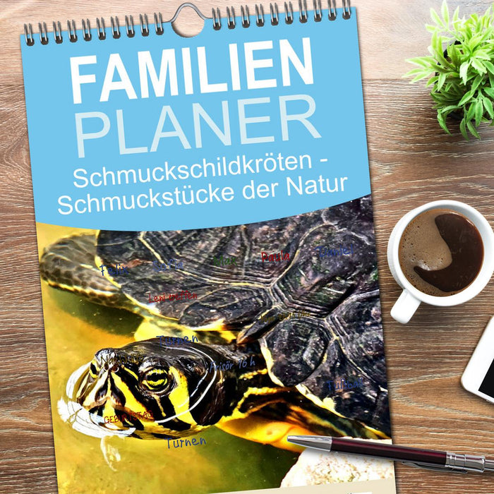 Schmuckschildkröten - Schmuckstücke der Natur (CALVENDO Familienplaner 2026)