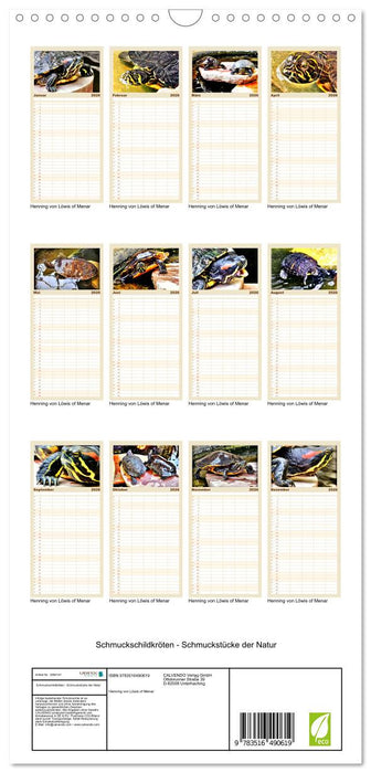 Schmuckschildkröten - Schmuckstücke der Natur (CALVENDO Familienplaner 2026)