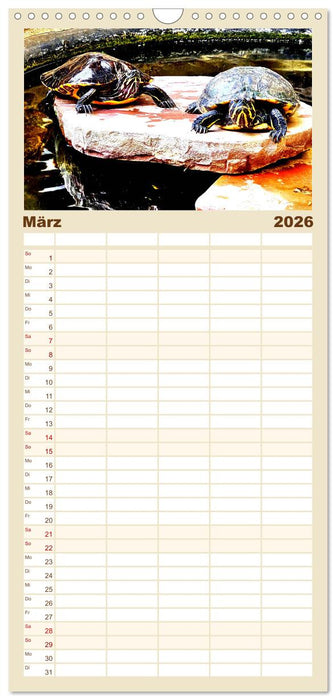 Schmuckschildkröten - Schmuckstücke der Natur (CALVENDO Familienplaner 2026)