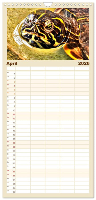 Schmuckschildkröten - Schmuckstücke der Natur (CALVENDO Familienplaner 2026)
