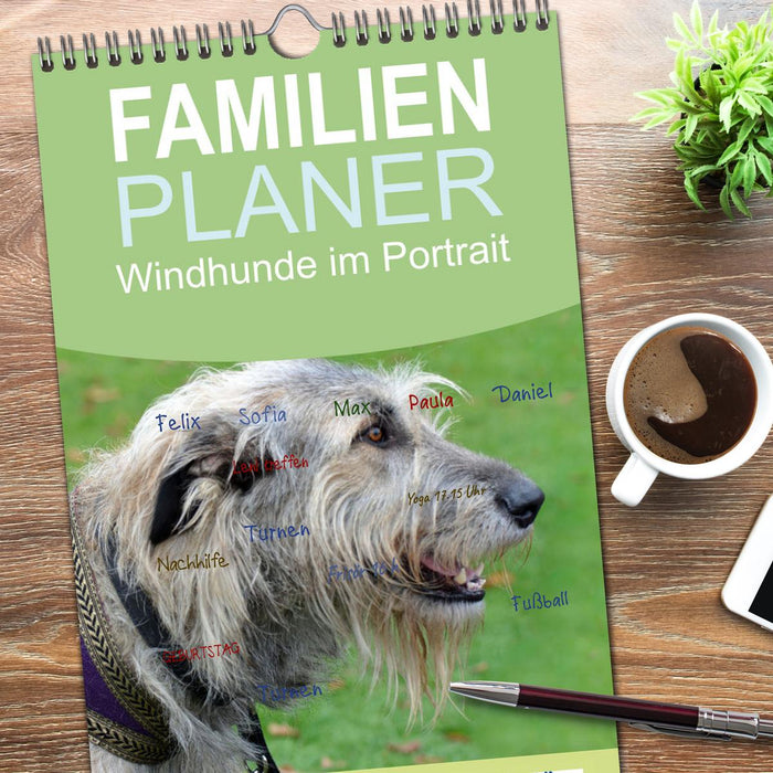 Windhunde im Portrait (CALVENDO Familienplaner 2026)