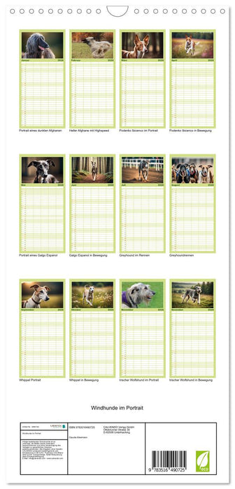 Windhunde im Portrait (CALVENDO Familienplaner 2026)