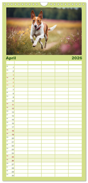 Windhunde im Portrait (CALVENDO Familienplaner 2026)