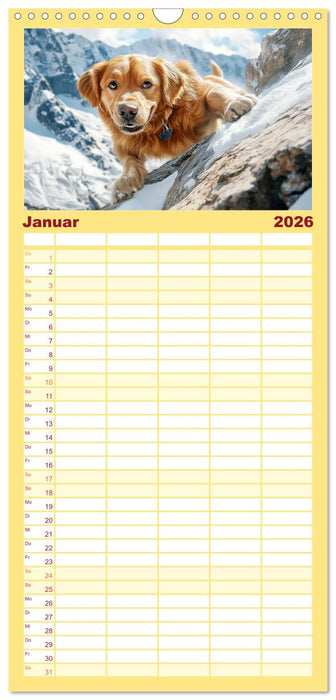 Lustige Sportarten für Hunde (CALVENDO Familienplaner 2026)