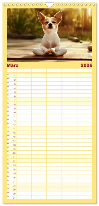 Lustige Sportarten für Hunde (CALVENDO Familienplaner 2026)