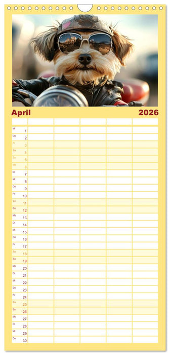 Lustige Sportarten für Hunde (CALVENDO Familienplaner 2026)