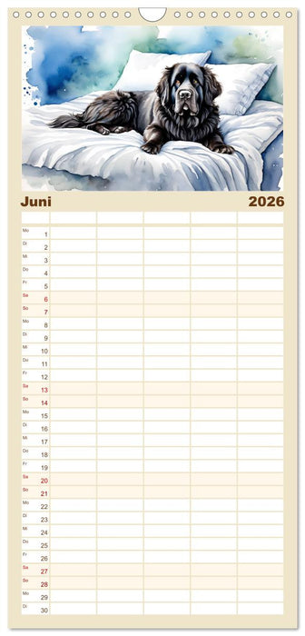 Hundeträume (CALVENDO Familienplaner 2026)