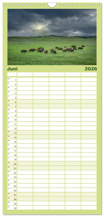 Sioux Im Lande von Sitting Bull (CALVENDO Familienplaner 2026)