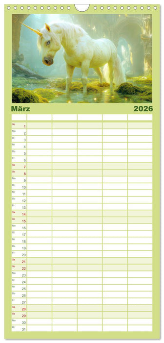 Eine zauberhafte Fantasiewelt (CALVENDO Familienplaner 2026)