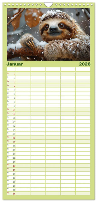 Faultiere - entspannt durchs Jahr (CALVENDO Familienplaner 2026)