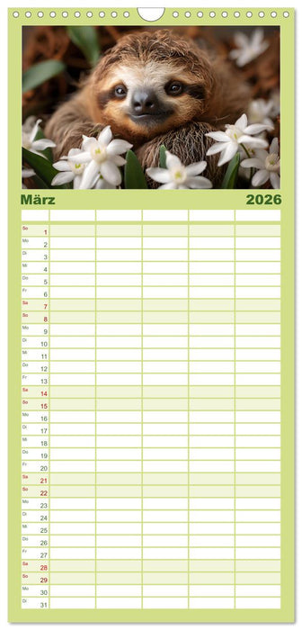 Faultiere - entspannt durchs Jahr (CALVENDO Familienplaner 2026)