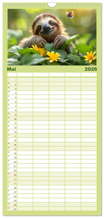 Faultiere - entspannt durchs Jahr (CALVENDO Familienplaner 2026)