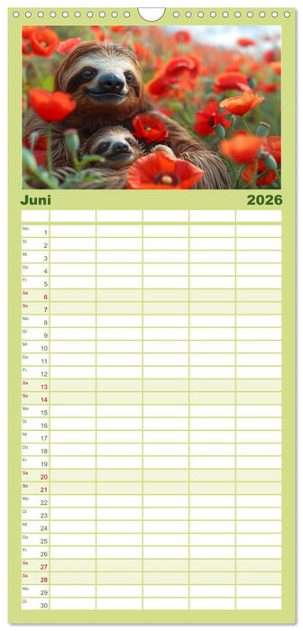 Faultiere - entspannt durchs Jahr (CALVENDO Familienplaner 2026)