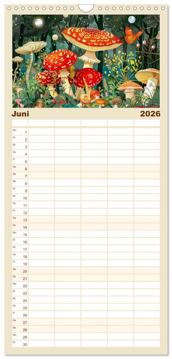 Zauberwelt der Pilze - Fantasievolle Pilze im verwunschenen Wald (CALVENDO Familienplaner 2026)