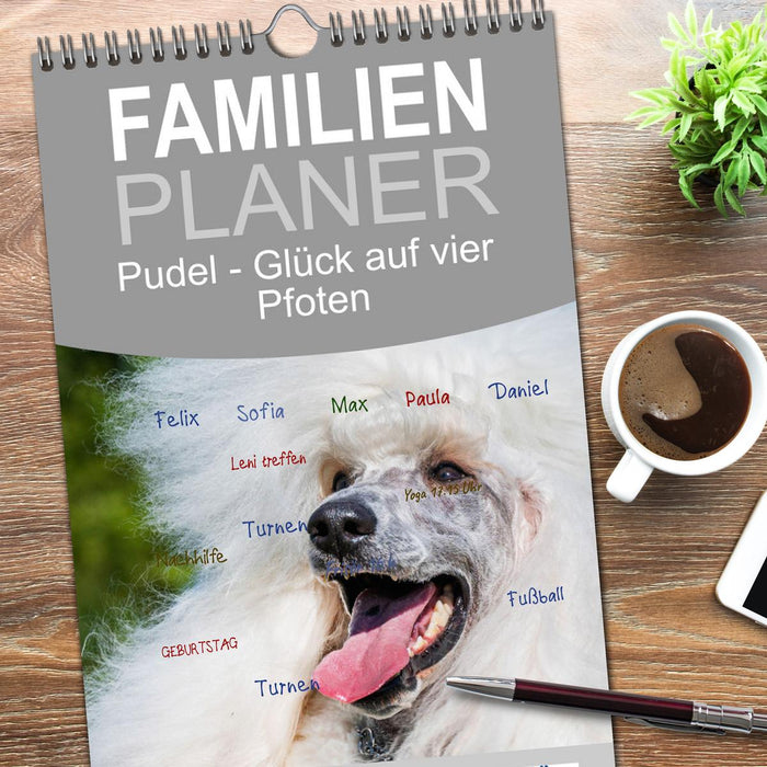Pudel - Glück auf vier Pfoten (CALVENDO Familienplaner 2026)