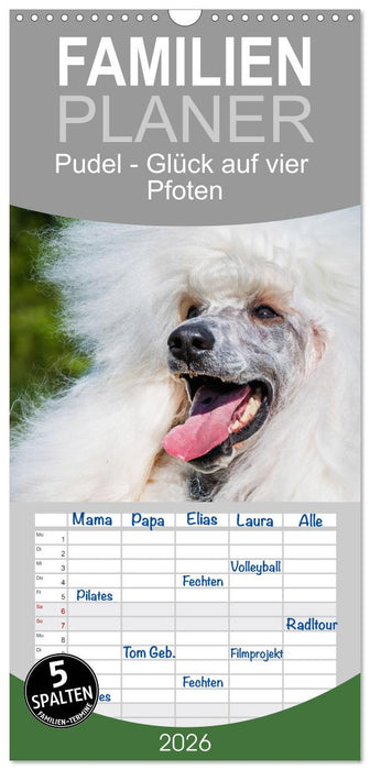 Pudel - Glück auf vier Pfoten (CALVENDO Familienplaner 2026)