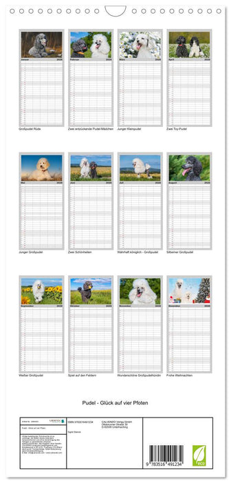 Pudel - Glück auf vier Pfoten (CALVENDO Familienplaner 2026)