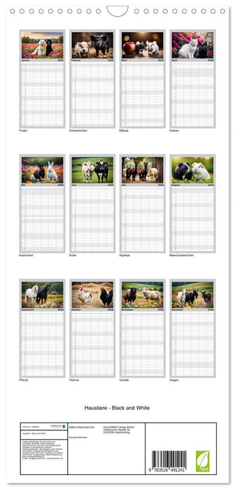 Haustiere - Black and White (CALVENDO Familienplaner 2026)