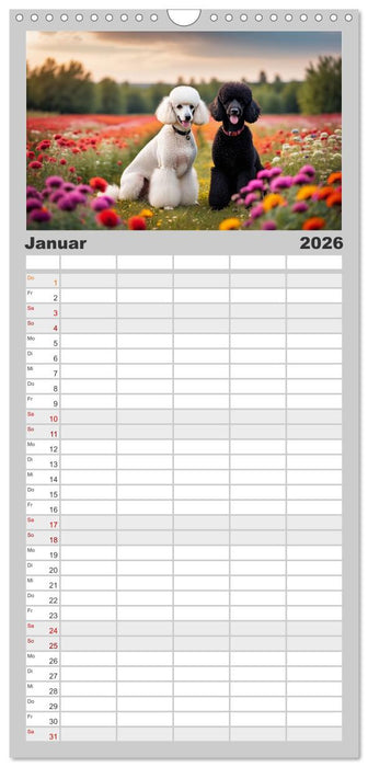 Haustiere - Black and White (CALVENDO Familienplaner 2026)