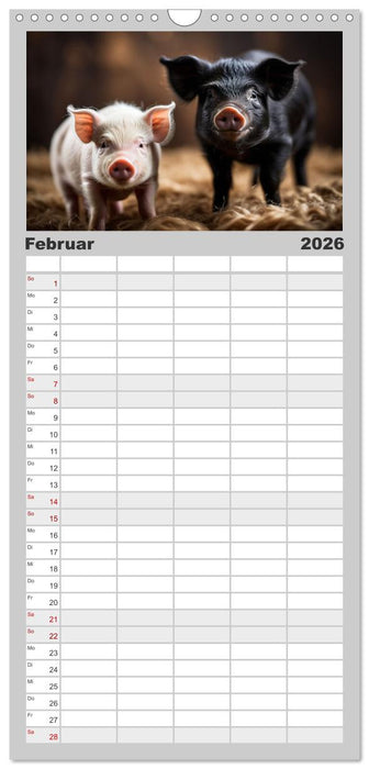 Haustiere - Black and White (CALVENDO Familienplaner 2026)