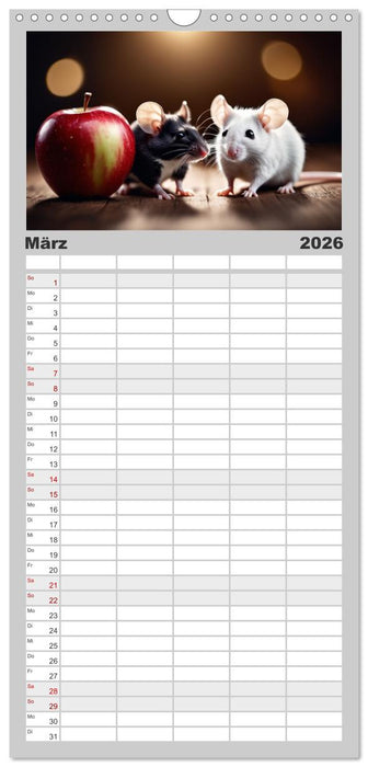 Haustiere - Black and White (CALVENDO Familienplaner 2026)