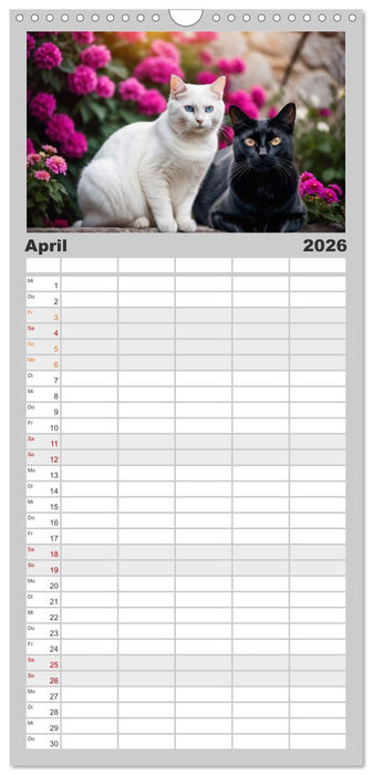 Haustiere - Black and White (CALVENDO Familienplaner 2026)