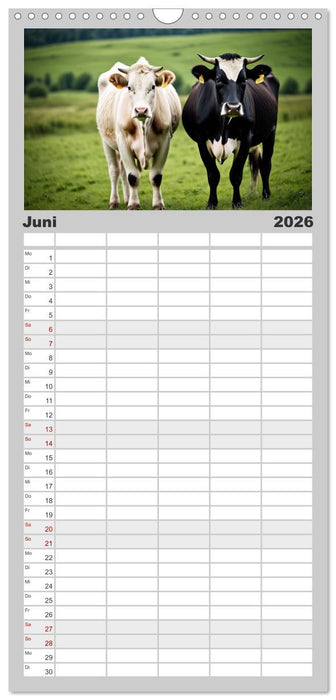 Haustiere - Black and White (CALVENDO Familienplaner 2026)