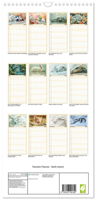 Tierische Träumer - Sanft ruhend (CALVENDO Familienplaner 2026)