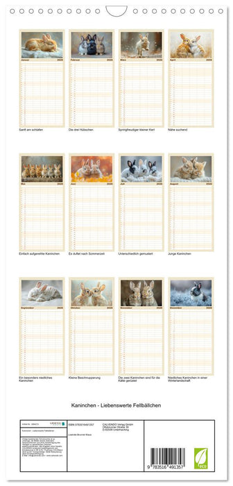 Kaninchen - Liebenswerte Fellbällchen (CALVENDO Familienplaner 2026)