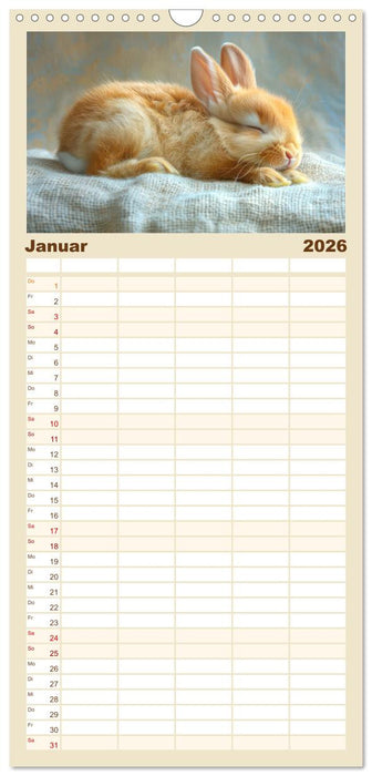 Kaninchen - Liebenswerte Fellbällchen (CALVENDO Familienplaner 2026)