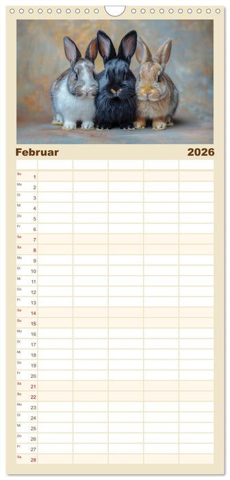 Kaninchen - Liebenswerte Fellbällchen (CALVENDO Familienplaner 2026)