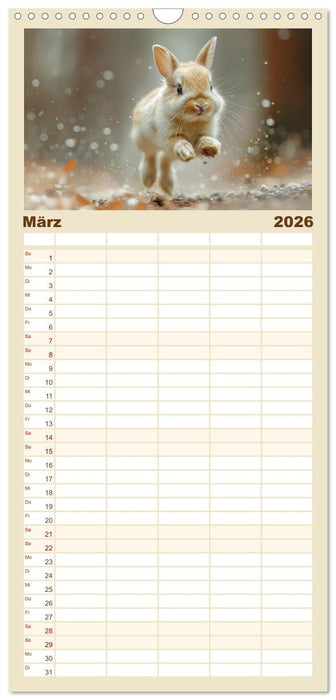 Kaninchen - Liebenswerte Fellbällchen (CALVENDO Familienplaner 2026)