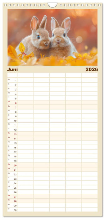 Kaninchen - Liebenswerte Fellbällchen (CALVENDO Familienplaner 2026)