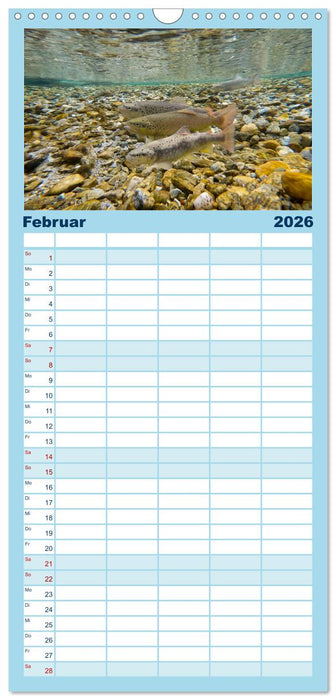 Faszination Fische (CALVENDO Familienplaner 2026)